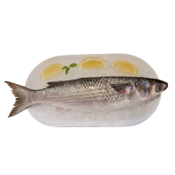 Sea Mullet 750-800g